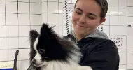 avatar petsitter