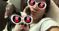 avatar petsitter