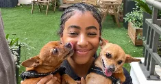 avatar petsitter
