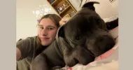 avatar petsitter