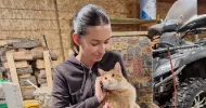 avatar petsitter