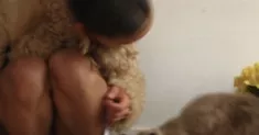 avatar petsitter