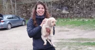 avatar petsitter