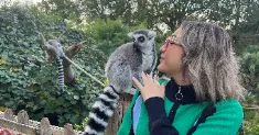 avatar petsitter