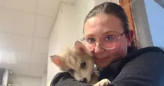 avatar petsitter