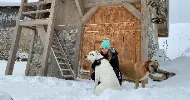 avatar petsitter