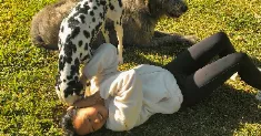 avatar petsitter