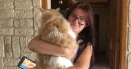 avatar petsitter