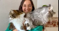 avatar petsitter