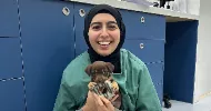 avatar petsitter