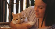 avatar petsitter