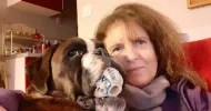 avatar petsitter
