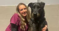 avatar petsitter