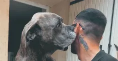 avatar petsitter