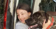 avatar petsitter