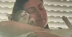 avatar petsitter