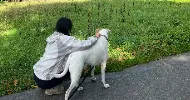 avatar petsitter
