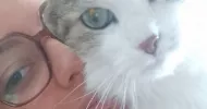 avatar petsitter