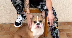 avatar petsitter