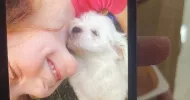 avatar petsitter