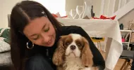 avatar petsitter