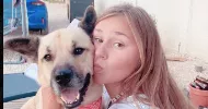 avatar petsitter