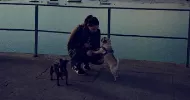 avatar petsitter