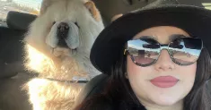 avatar petsitter