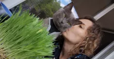 avatar petsitter