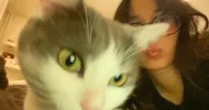 avatar petsitter