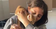 avatar petsitter