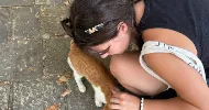 avatar petsitter