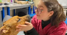 avatar petsitter