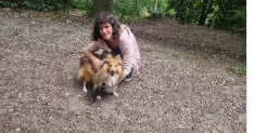 avatar petsitter