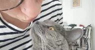 avatar petsitter