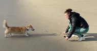 avatar petsitter