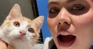 avatar petsitter