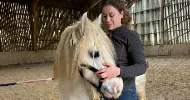 avatar petsitter