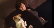 avatar petsitter