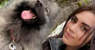 avatar petsitter