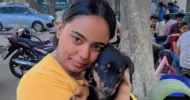 avatar petsitter