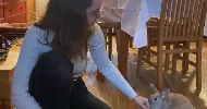 avatar petsitter