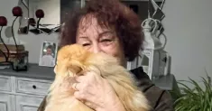 avatar petsitter