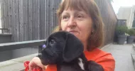 avatar petsitter
