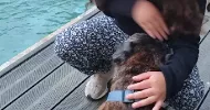 avatar petsitter