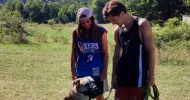 avatar petsitter