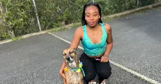 avatar petsitter