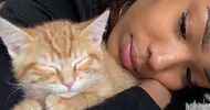 avatar petsitter