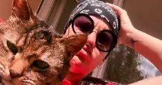 avatar petsitter