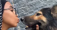 avatar petsitter